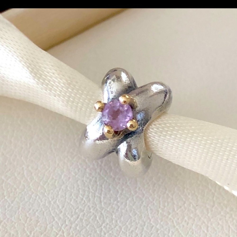 Retired Pandora charm